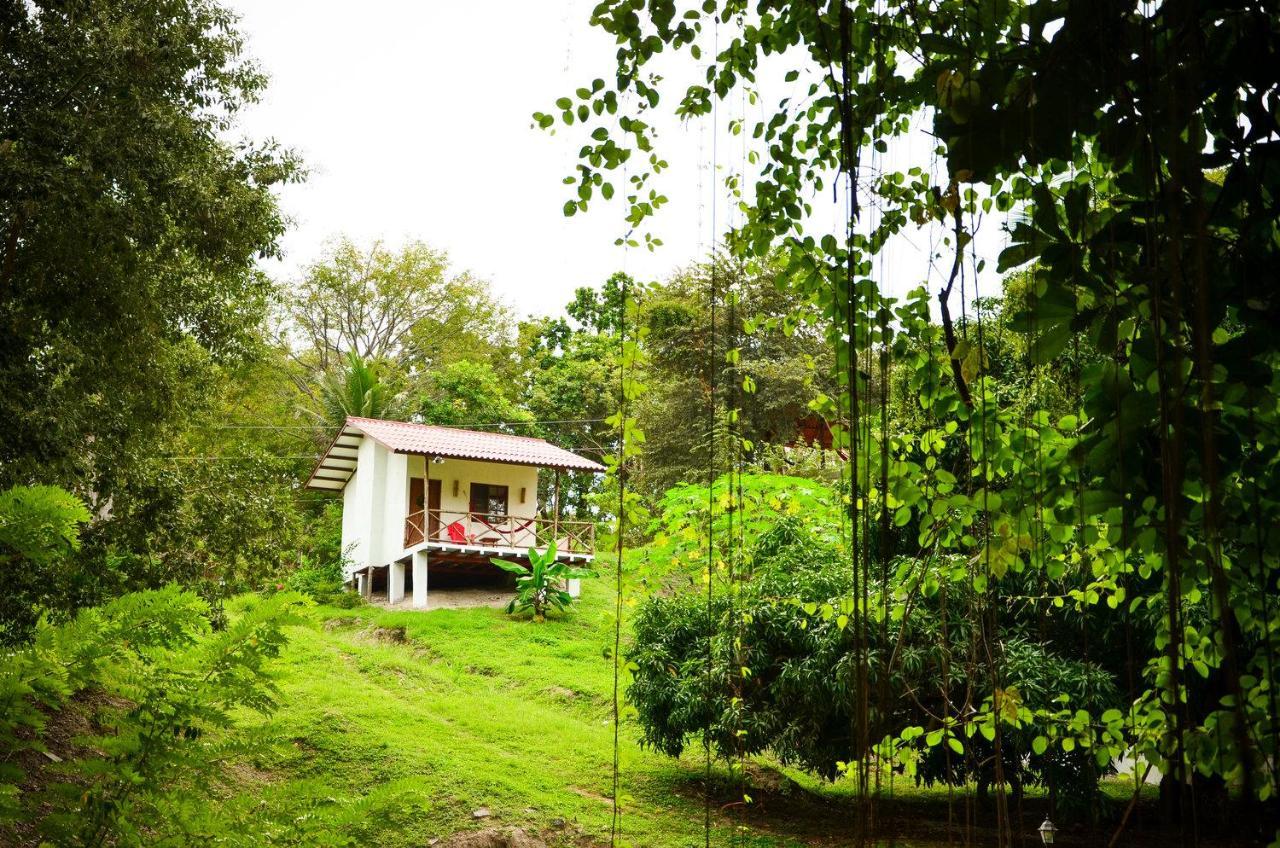 Istmo Beach And Jungle Bungalows San Carlos Zewnętrze zdjęcie