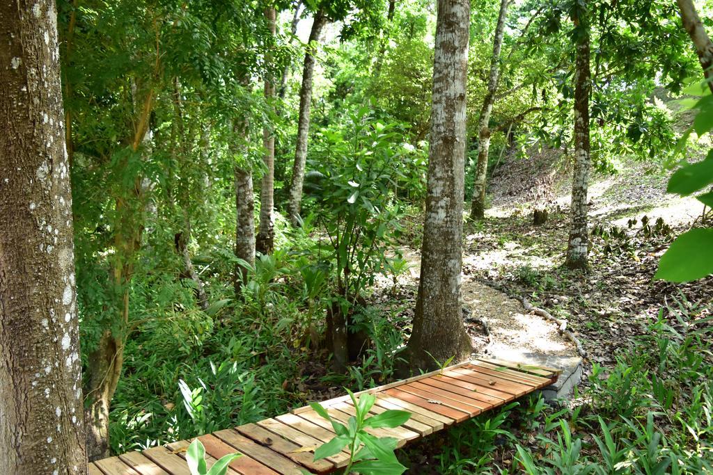 Istmo Beach And Jungle Bungalows San Carlos Zewnętrze zdjęcie