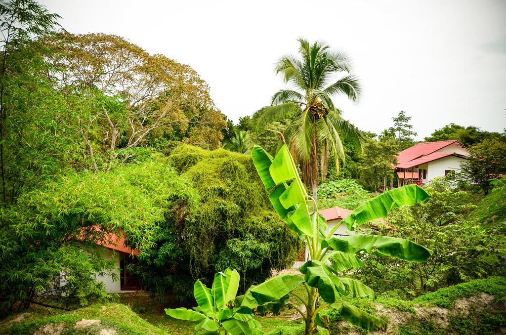 Istmo Beach And Jungle Bungalows San Carlos Zewnętrze zdjęcie