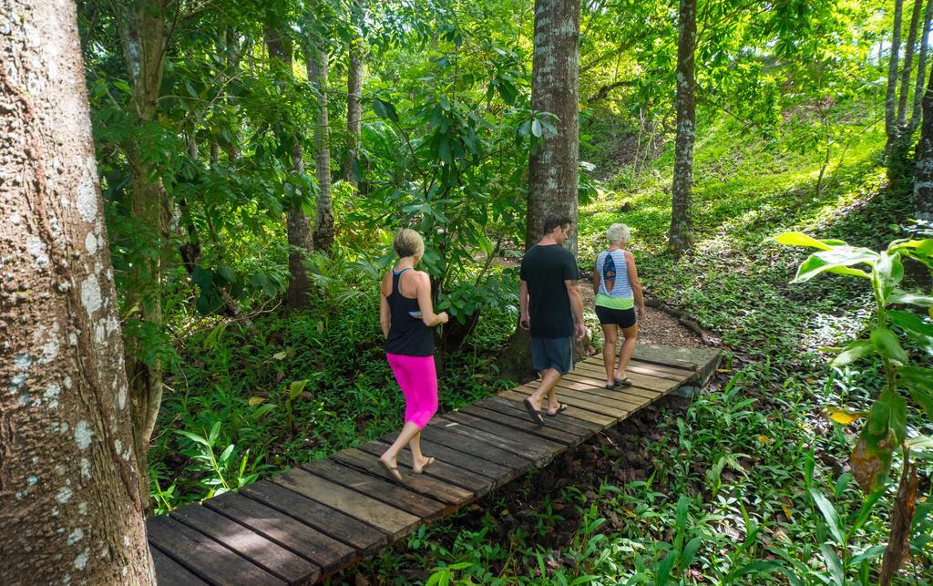 Istmo Beach And Jungle Bungalows San Carlos Zewnętrze zdjęcie